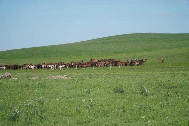 亚洲情侣国产精品第一页 颜色和功能上的情侣定制化海报