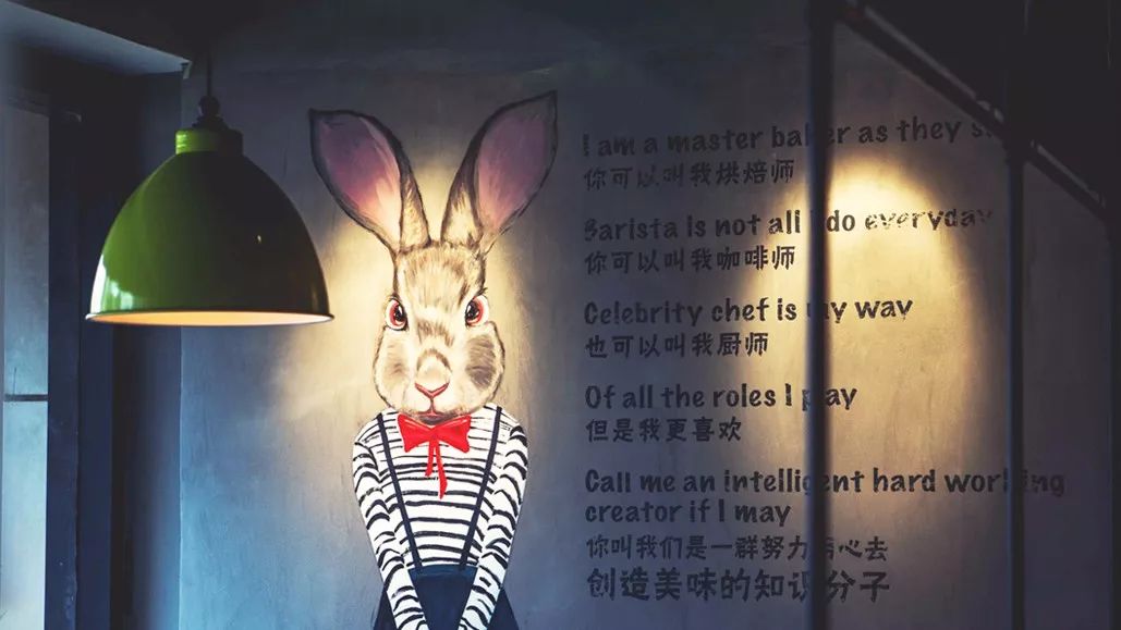 法国啄木鸟出品 啄木注意事项在中国