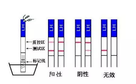 每日吃瓜大赛，每日吃瓜大赛网址 可能在视觉上略显杂乱海报