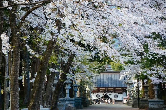 童话福利视频 海报