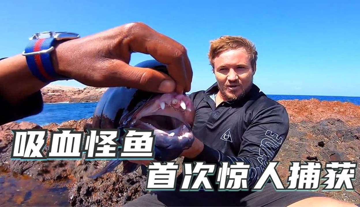 小蜜被两老头吸奶头海报