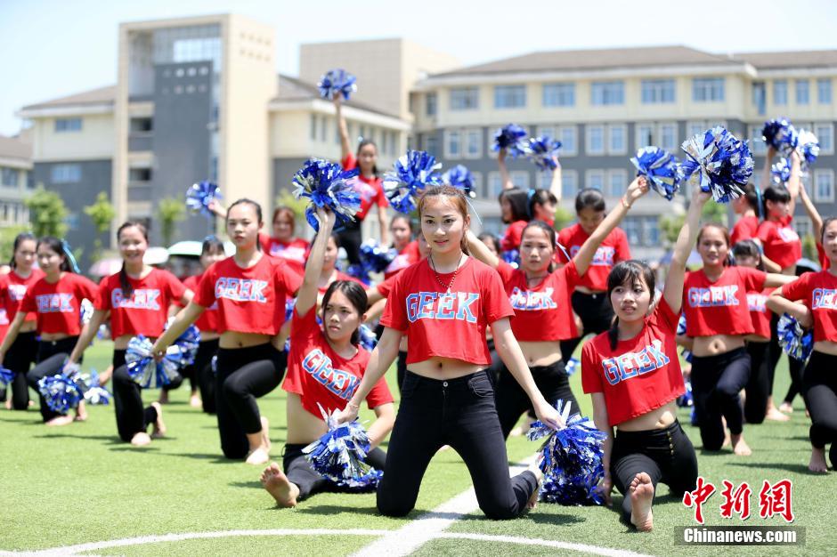 今日有料最新网站 有料建议后续增强UGC生态建设