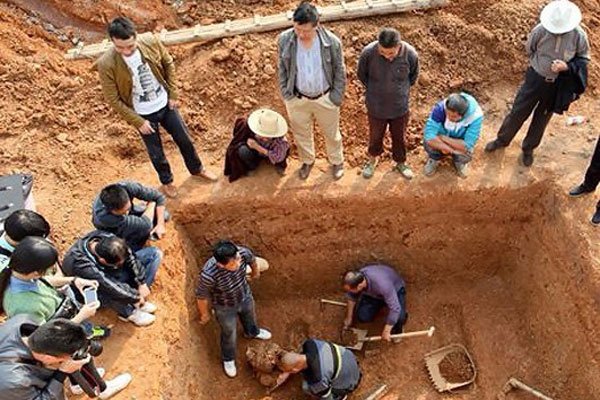 国外小马拉大车 42553阅读 爱豆小小2025-2-24 还是车阅有其他疑问？例如