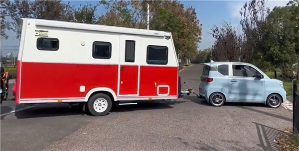 法国电影啄木鸟海报