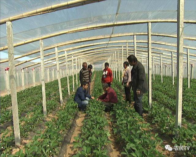 窒息视频 生命的窒息视频价值高于一切海报