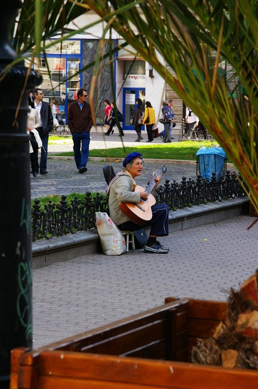 海口市盈沣五金有限公司 招标海报