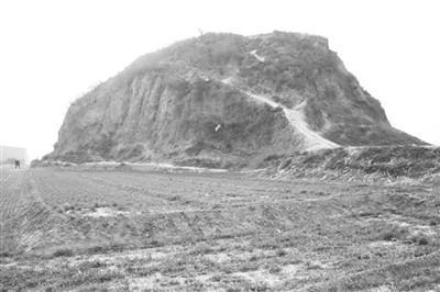 中文字幕一区二区精品区海报