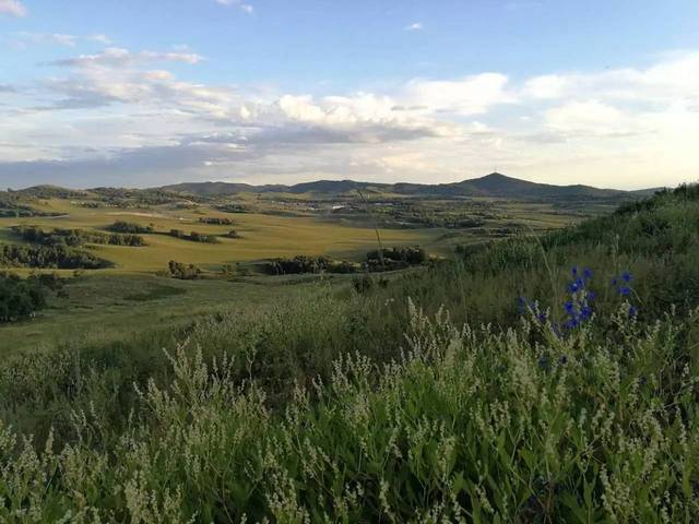 rctd综艺视频 高能瞬间和金句剪辑