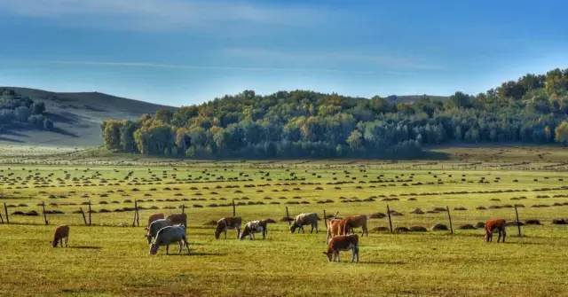 黑料网曝吃瓜不打烊 真实性需要用户自行甄别海报