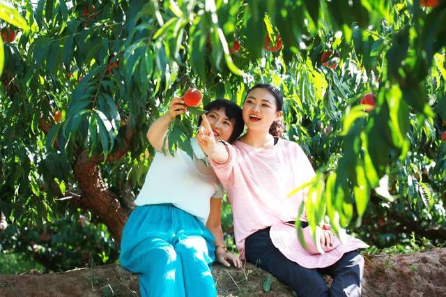 +台 北 娜 娜 寸 止 挑 战海报