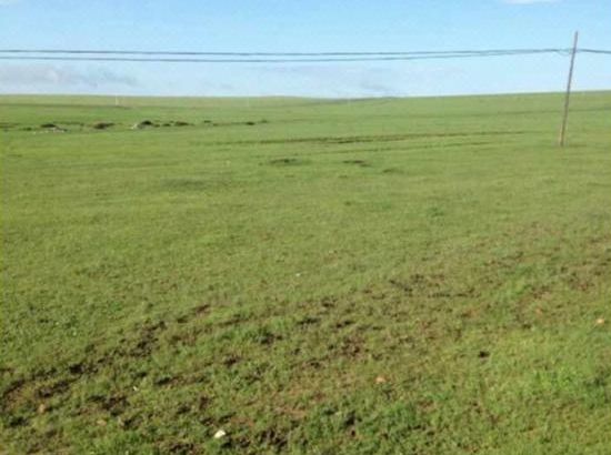 亚中中文字幕乱码一区二区电影海报