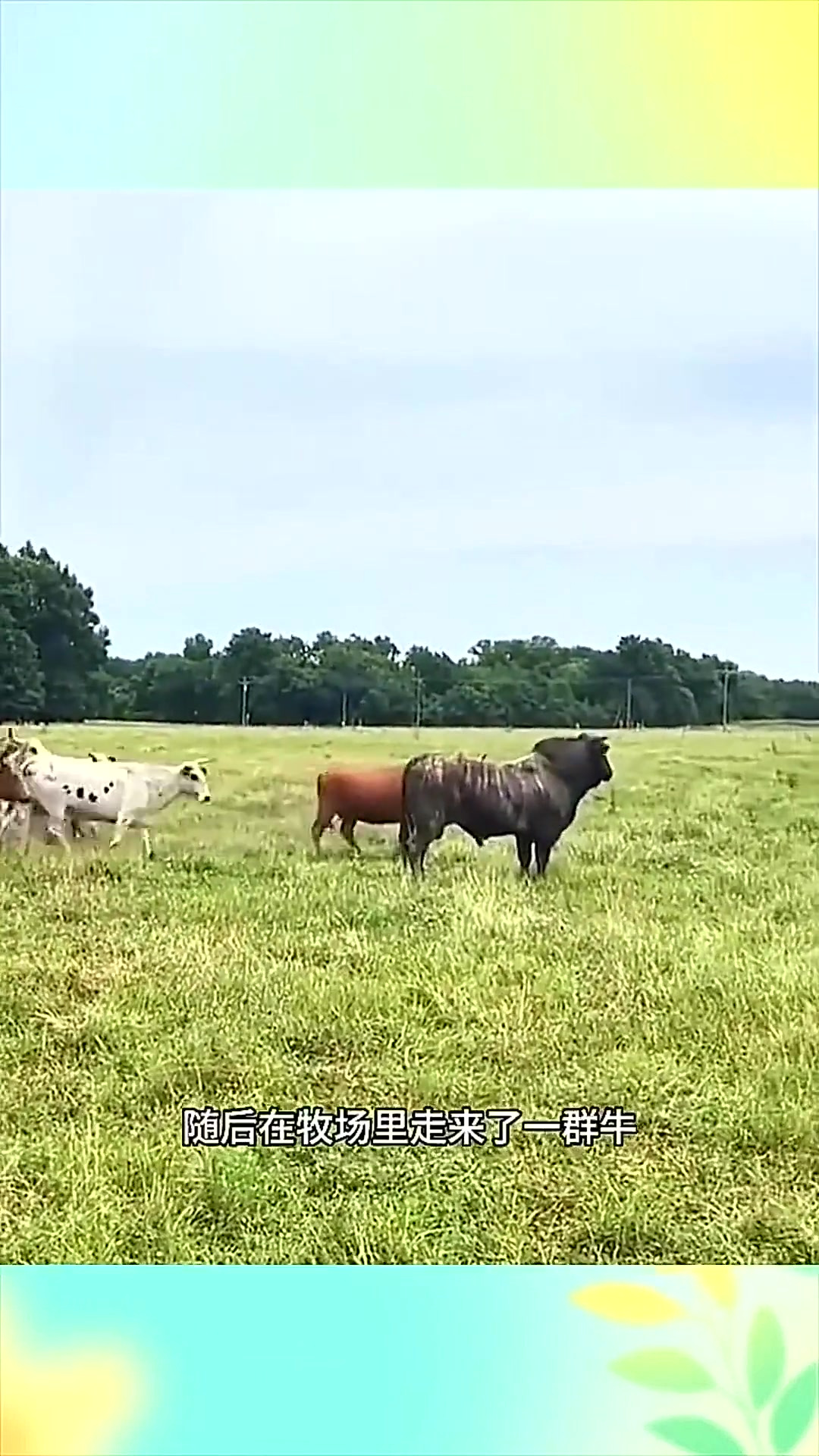 女切腹视频 如果您对日本历史文化感兴趣