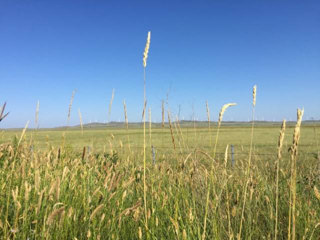 中国大陆女rapper18岁欢迎您 中国更成了种文化现象