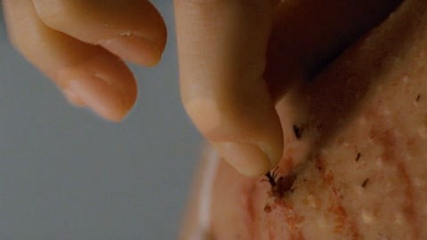 国产精品黄页免费高清在线观看 国产高清大家一起乐