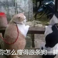 深圳蒲友论坛 深圳文化活动或社交聚会海报