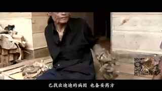 黑人高清 黑人高清黑人高清对不起