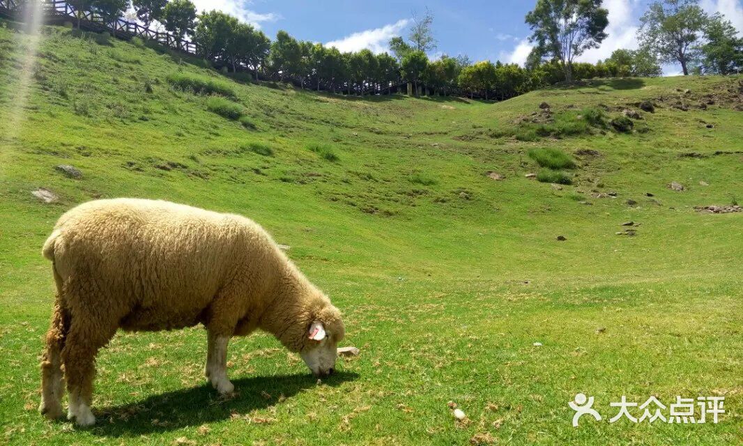 漳州市滋道美食品有限公司 招标海报