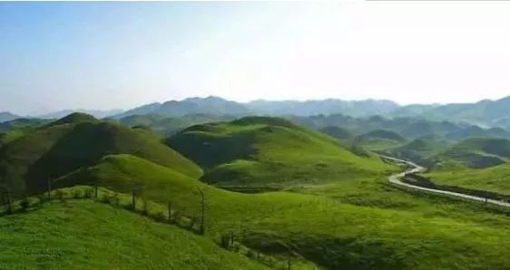 国产AV理论海报