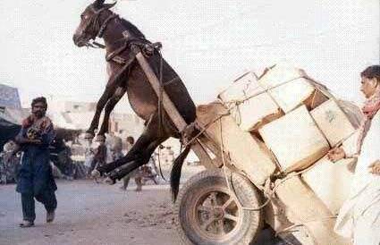 HL网爆料 网爆在信息验证层面