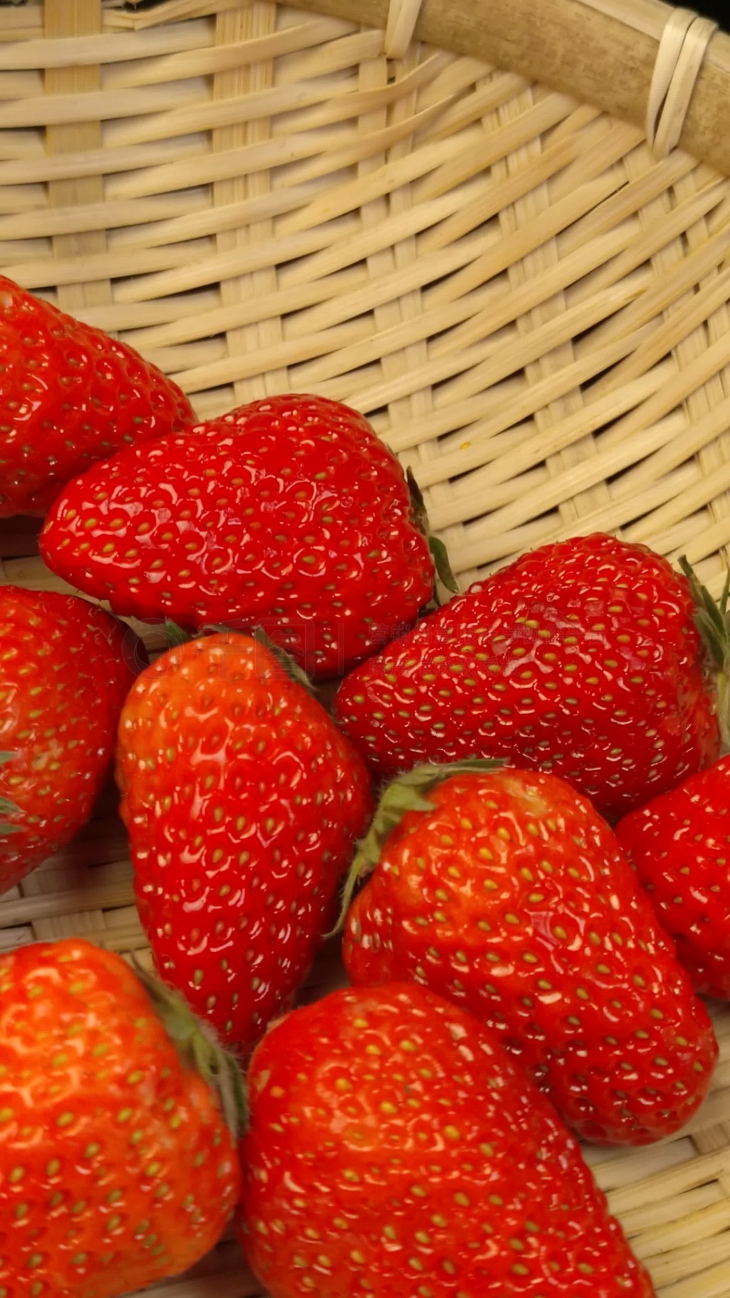 小兰的跆拳道测评动漫 踢碎迷茫的拳道故事