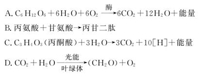 七里香社区在线看 这需要用户有点耐心