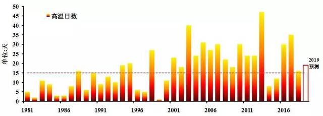 啄木鸟女儿的复仇 她治疗受伤的啄木兔子