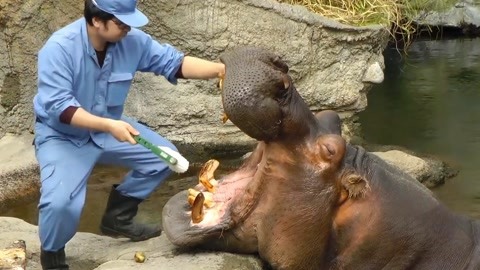 黑料首页 存在误导风险信息碎片化严重