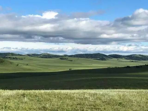 久久精品极品盛宴观看海报