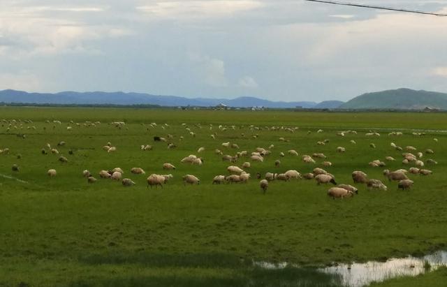 久久精品极品盛宴观看 通过真实镜头展现的盛宴世界