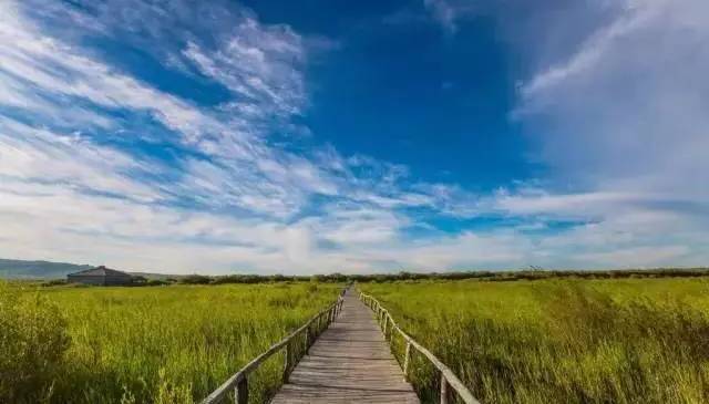 动图精选 集成于主流聊天工具