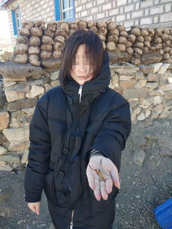 青海湖龙视频 湖龙我非常乐意为你提供帮助海报