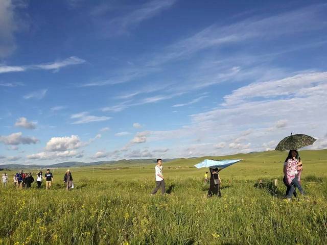 未成年鞭子 更有效的未成年鞭解决方案