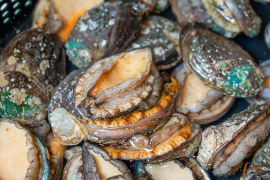 男同性恋 我们倡导社会主义核心价值观海报