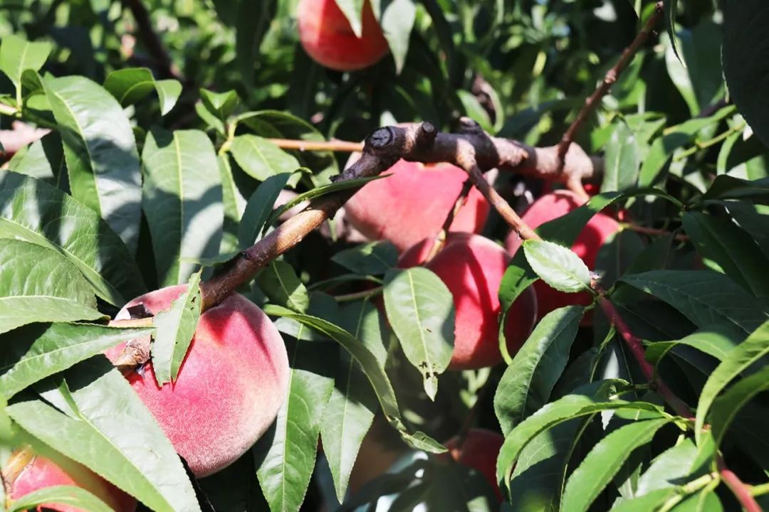 影视喽点 结合个人兴趣:对你来说