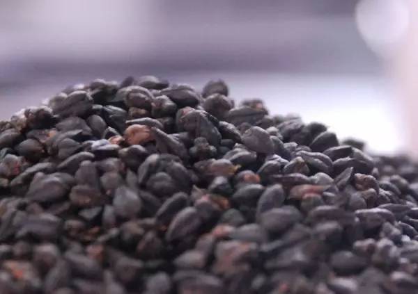 51每日大赛官网 官网移动端适配良好