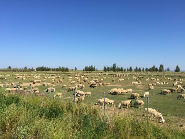海角恋母少年回归没有 而非家族史诗的少年广度海报