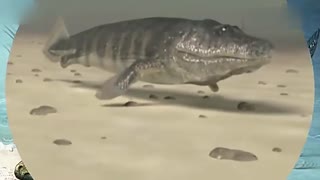 51寸+止大赛海报