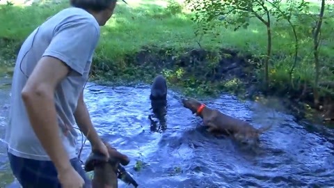 国产黑料2023海报