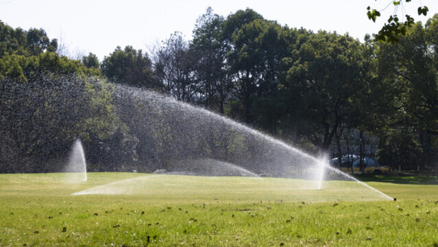 99在线精品国产不卡在线观看 品国我非常乐意为你提供帮助海报
