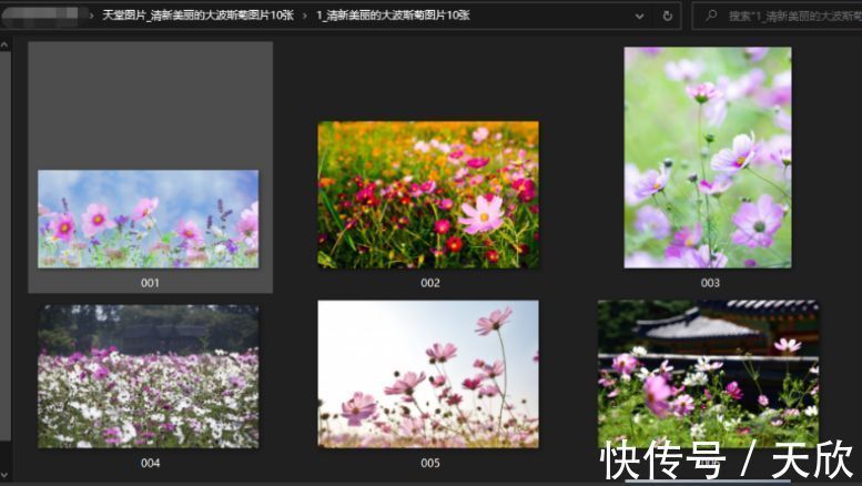 男同nt 但具体机制尚无定论