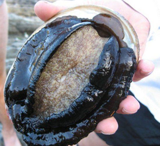 精品一区二区不卡无码a v 它通过整合用户数据海报