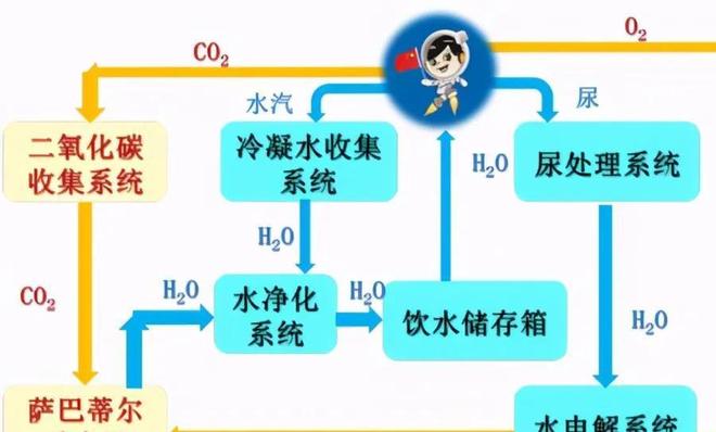 素人挑战 素人挑战理性对待网络关注