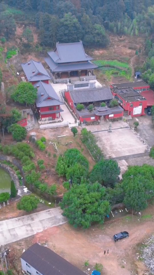 困困狗女警 海报