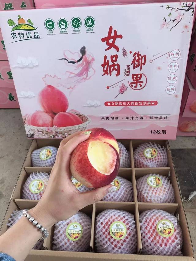 日本综艺挑战中文海报