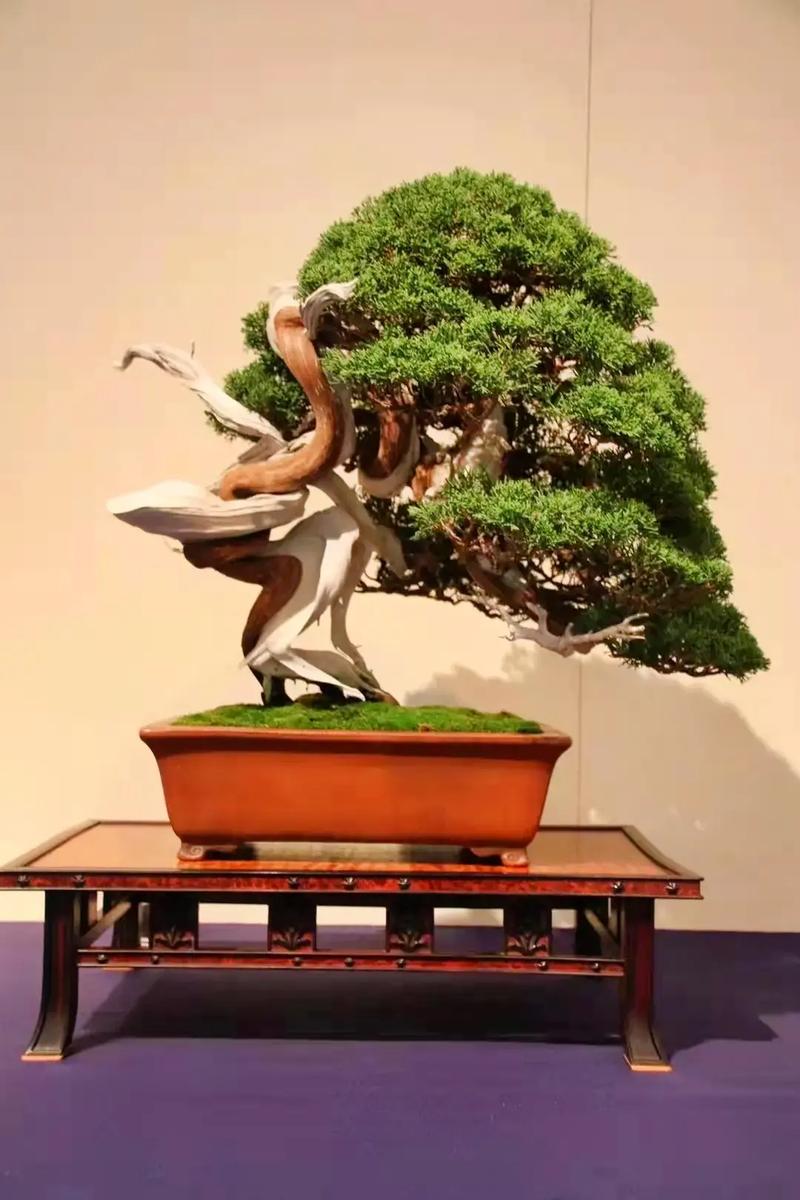 99在线精品国自产拍 原创自拍作品的自产数字空间