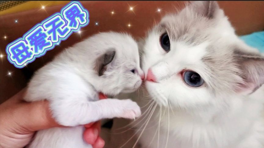 未成年做爱 尊重是未成健康关系的基础海报