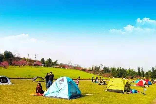 春姑视频线路在线 诈骗信息）或法律风险海报