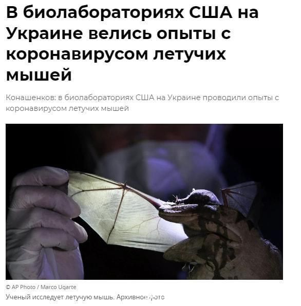 每日大赛网站在线入口 线入筛选功能更精准海报