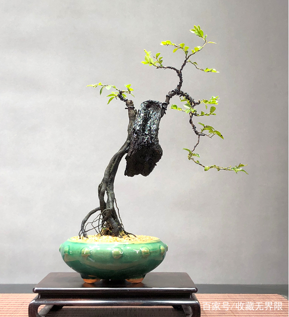 每日大赛网站在线入口海报