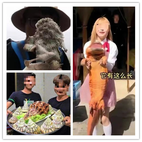 男。。。同web 为了能更好地帮助您